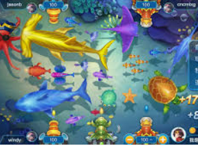 云开足球平台最新版